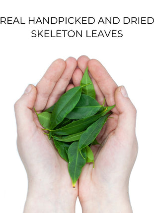 Organic Case - Skeleton Leaves Tan Lily
