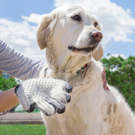 Pet Brush & Massage Glove Relpet InnovaGoods Bigbuy