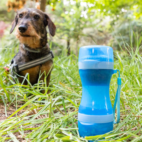 2-in-1 bottle with water and food containers for pets Pettap Bigbuy