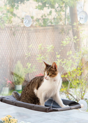 Hanging Cat Hammock Catlax InnovaGoods Bigbuy