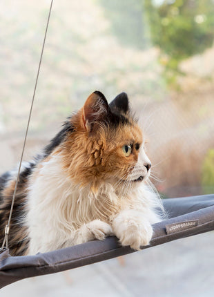 Hanging Cat Hammock Catlax InnovaGoods Bigbuy
