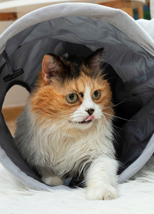 Collapsible Pet Tunnel Funnyl InnovaGoods Bigbuy