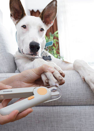 Pet Nail Clippers with LED Clipet InnovaGoods Bigbuy