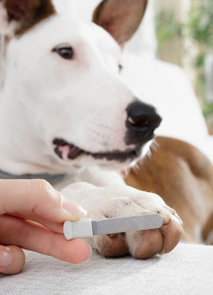 Pet Nail Clippers with LED Clipet InnovaGoods Bigbuy
