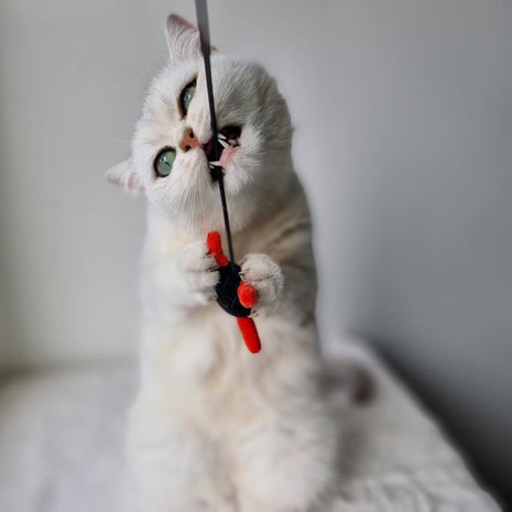 SALE | NINJA Saveplace® plush cat toy with long gummy string Grey Chaos