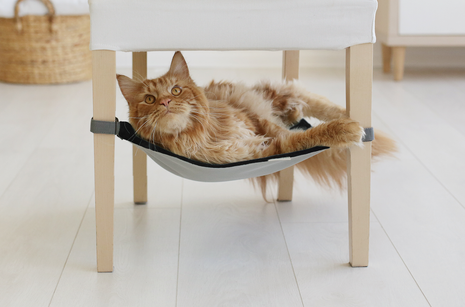 NIGHT STORM Saveplace® black hammock for pets & storage Grey Chaos
