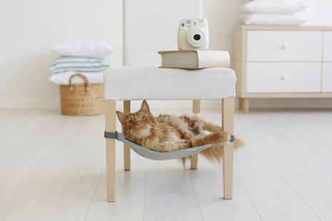 PEARL RIVER Saveplace® light grey hammock for pets & storage Grey Chaos