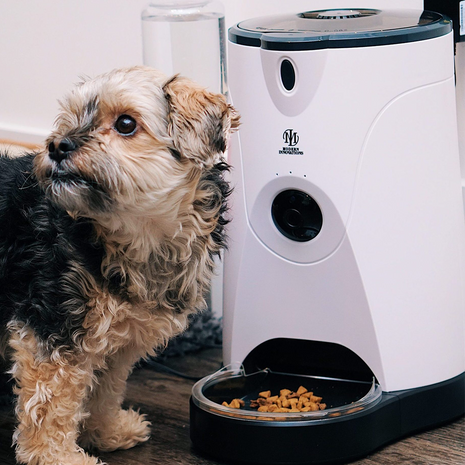 WiFi Pet Feeder Pink Trillium