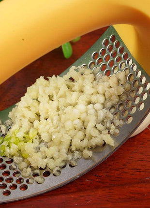 Stainless Steel Garlic Masher – Manual Press for Fruits & Vegetables - TECNO GADGETS