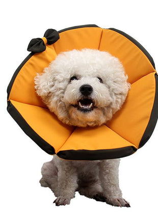 Dog Recovery Collar – Comfortable Protective Pet Cone for Healing - TECNO GADGETS