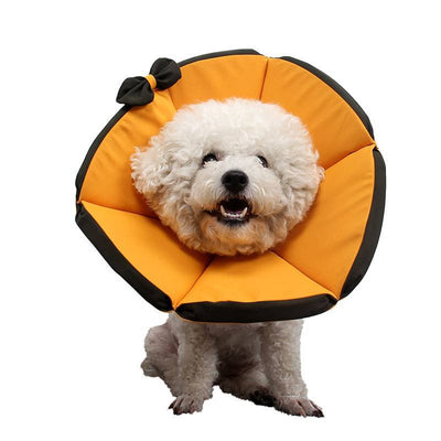 Dog Recovery Collar – Comfortable Protective Pet Cone for Healing - TECNO GADGETS