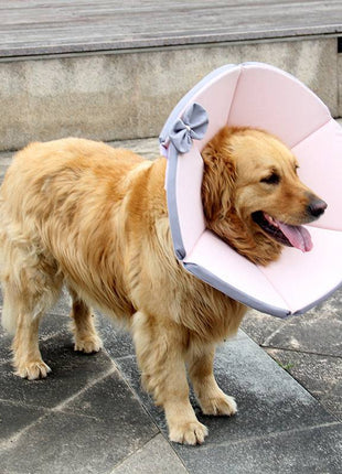 Dog Recovery Collar – Comfortable Protective Pet Cone for Healing - TECNO GADGETS