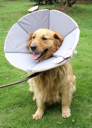 Dog Recovery Collar – Comfortable Protective Pet Cone for Healing - TECNO GADGETS