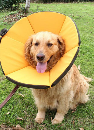 Dog Recovery Collar – Comfortable Protective Pet Cone for Healing - TECNO GADGETS