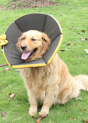 Dog Recovery Collar – Comfortable Protective Pet Cone for Healing - TECNO GADGETS