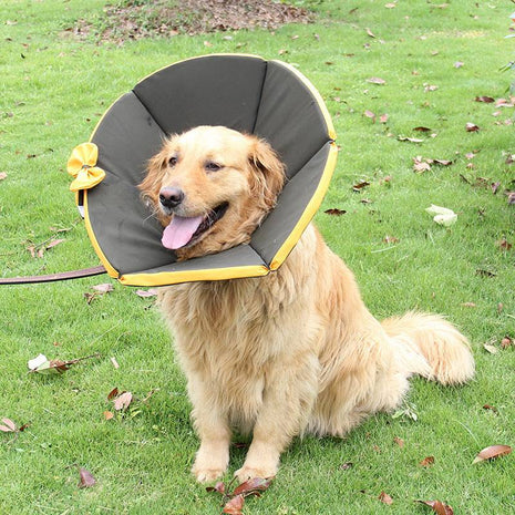 Dog Recovery Collar – Comfortable Protective Pet Cone for Healing - TECNO GADGETS