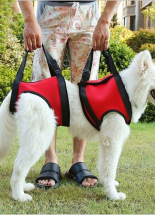 Pet Safety Care Auxiliary Belt – Adjustable Support Harness for Dogs & Cats - TECNO GADGETS