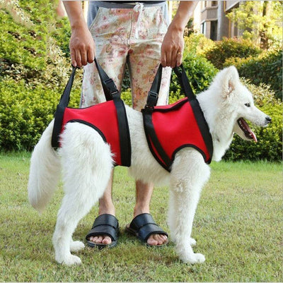 Pet Safety Care Auxiliary Belt – Adjustable Support Harness for Dogs & Cats - TECNO GADGETS