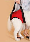 Red / Hind leg / L