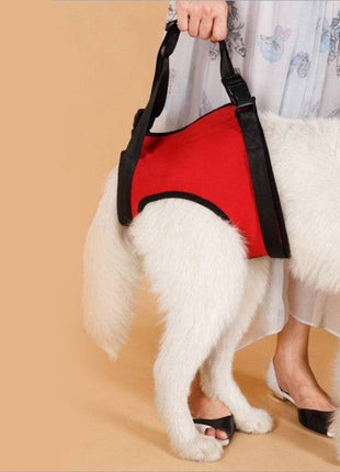 Pet Safety Care Auxiliary Belt – Adjustable Support Harness for Dogs & Cats - TECNO GADGETS
