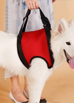 Pet Safety Care Auxiliary Belt – Adjustable Support Harness for Dogs & Cats - TECNO GADGETS