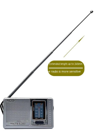 Portable FM/AM Radio Gift Player for Elderly – Compact & Easy-to-Use - TECNO GADGETS