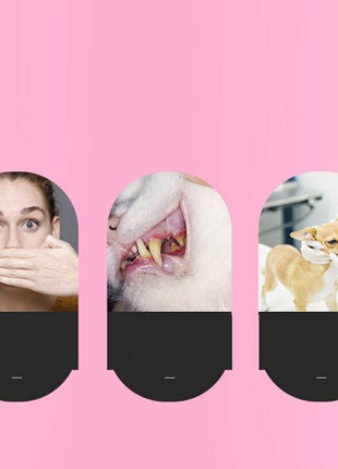 Pet Cleaning Care Dog Cat Toothbrush - TECNO GADGETS