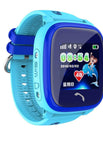 Blue GPS foreign language
